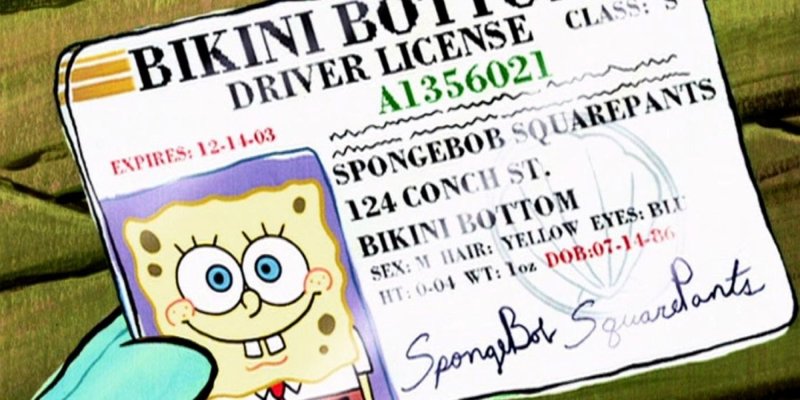 Bob Esponja seria quase um quarentão, segunda sua carteira de motorista.