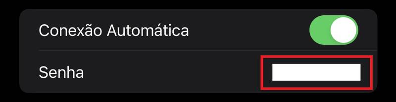 A senha será exibida depois que a autenticação for feita no seu iPhone.