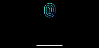 Use a verificação de segurança registrada em seu smartphone Android.