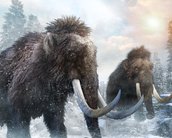 Cientistas reconstroem os cromossomos em 3D de mamute de 52 mil anos