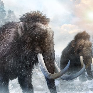 Imagem de Cientistas reconstroem os cromossomos em 3D de mamute de 52 mil anos