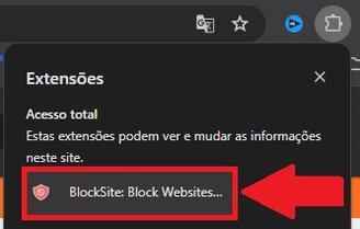 É preciso selecionar a BlockSite para fazer o bloqueio do site.