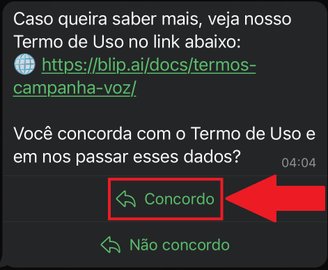 Aperte em "Concordo" caso esteja de acordo com os termos do chat.