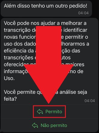 É preciso dar permissão para que o chat faça as transcrições dos áudios.