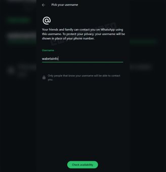 A tela de escolha de um nome de usuário no WhatsApp Web. (Imagem: Wabetainfo/Reprodução)