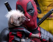 17 filmes (e 1 série) para ver e entender as piadas de Deadpool & Wolverine