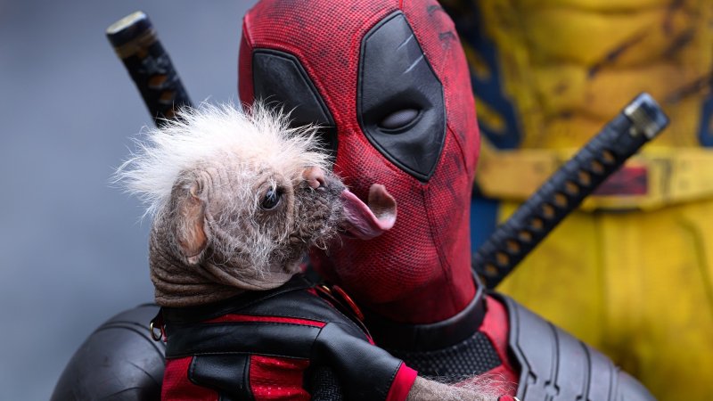 Dogpool e Deadpool