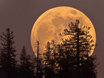 A primeira Superlua do ano acontece nesta segunda (19)