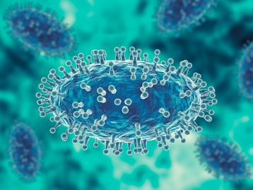 OMS volta a declarar mpox como 'emergência de saúde global': Brasil corre risco?