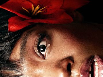 Novo thriller psicológico está bombando com a crítica! Conheça Pisque Duas Vezes