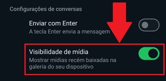 Mude a opção "Visibilidade de mídia" caso ela não esteja ativada.