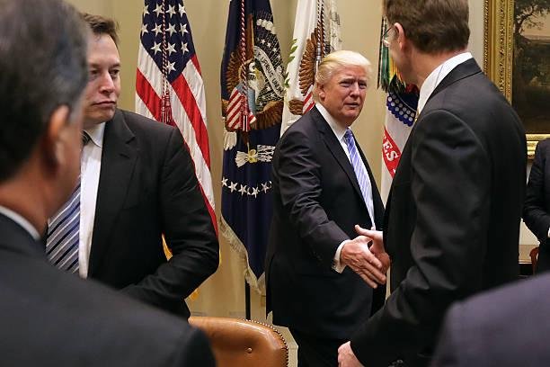 Musk pode fazer parte do governo de Trump, em um eventual novo mandato do republicano.