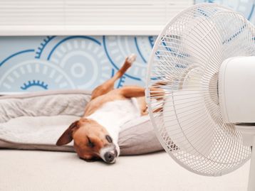 Ar-condicionado, climatizador e ventilador com até 40% de desconto na Amazon; confira ofertas