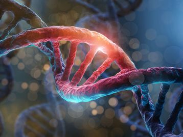 Novo capítulo no genoma humano: 50.000 emaranhados de DNA são descobertos