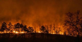 Com a seca prolongada, uma série de incêndios ocorreram na Terra durante o Permiano.