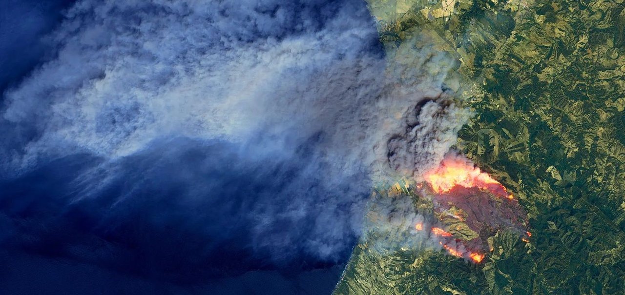 Google banca projeto de satélites e IA para detectar incêndios florestais