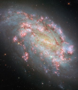 A galáxia NGC 1559.