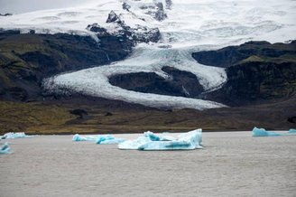 O derretimento progressivo do permafrost tem exposto animais e plantas enterrados.