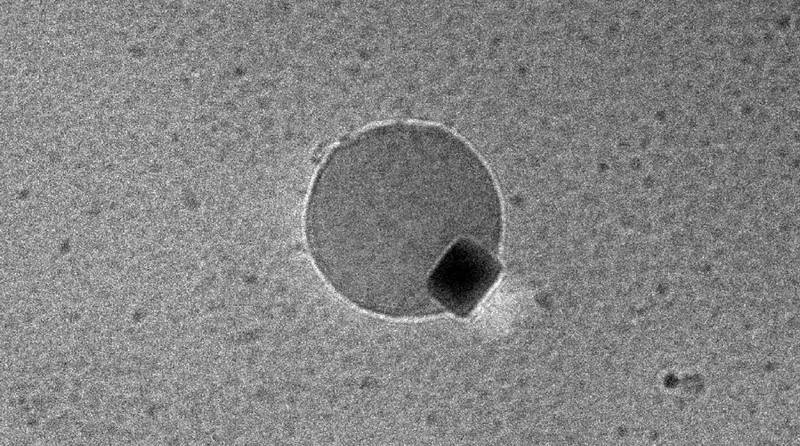 A imagem mostra o momento exato em que uma bolha de água se forma a partir de um nanocubo de paládio.