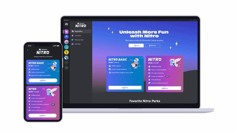 O Discord Nitro é oferecido na versão mais completa e na Basic. (Fonte: Discord / Reprodução)