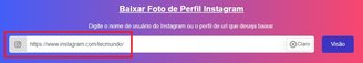 É preciso digitar a URL da conta que você quer baixar a foto do perfil.