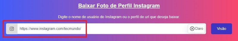 É preciso digitar a URL da conta que você quer baixar a foto do perfil.