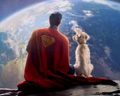 Krypto de Superman Legacy será cachorro “caroço de manga”! Conheça inspiração de James Gunn