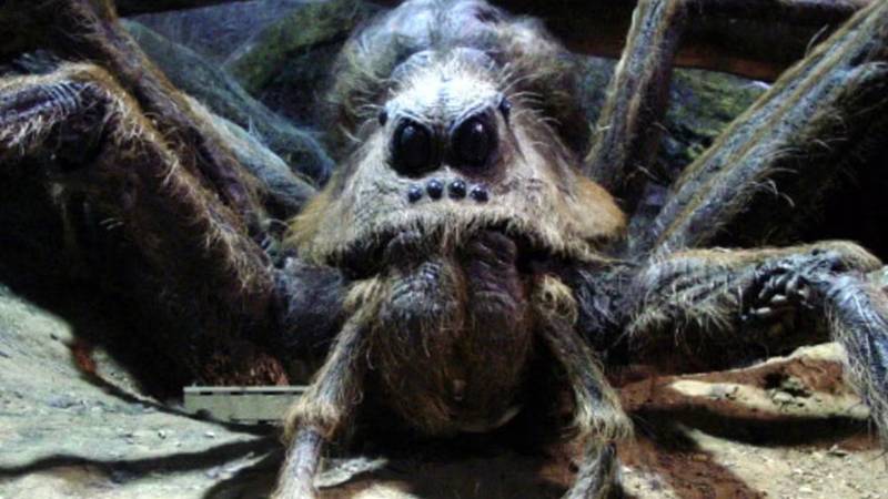 Aragog, a aranha gigante de Harry Potter