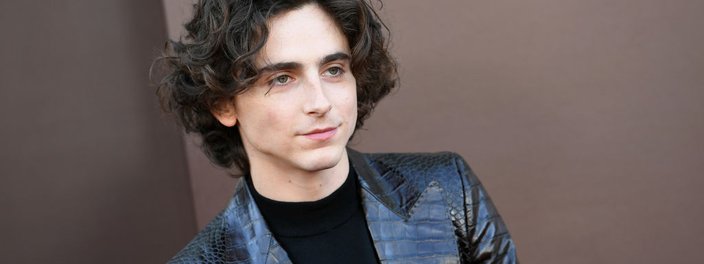 Imagem de: Concurso de sósias de Timothée Chalamet tem prisões e aparição especial do ator