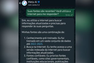 O banco de dados da Meta AI contém dados de até 2023.