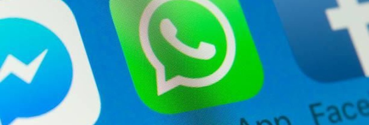 There is a bug in WhatsApp Beta that leaves the entire screen green and prevents the use of the application; see how to fix