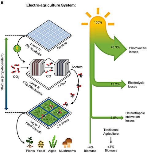 Esquema de funcionamento de um sistema de eletroagricultura. (Fonte: Bradie S. Crandall et al., Joule, 2024)