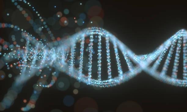 O DNA é essencial para que a receita da vida seja guardada e posteriormente replicada.