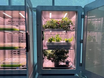 94% menos terra: descubra o que é a eletroagricultura