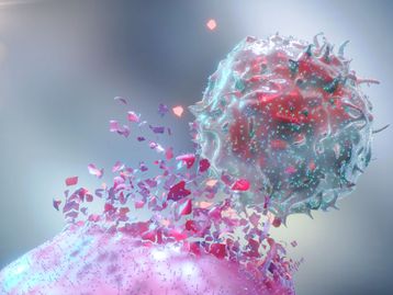 O papel da apoptose na vida e morte celular