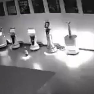 Imagem de É verdade que um robô conversou e formou uma 'rebelião' com outros robôs na China? Entenda o viral