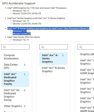 Modelos devem ser lançados para desktops, possivelmente no início de 2025 (Imagem: VideoCardz/Reprodução)