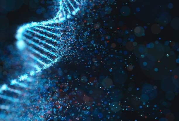 Mas o RNA as vezes por dar uma derrapada nas traduções, e se nossas células não estiverem prontas para identificar o erro, doenças como o câncer podem ser desenvolvidas. 