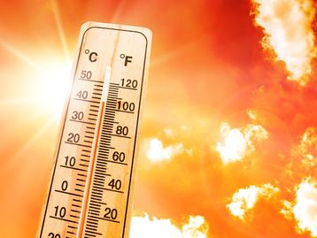 Ondas de calor mortais e inexplicáveis estão pipocando pelo planeta