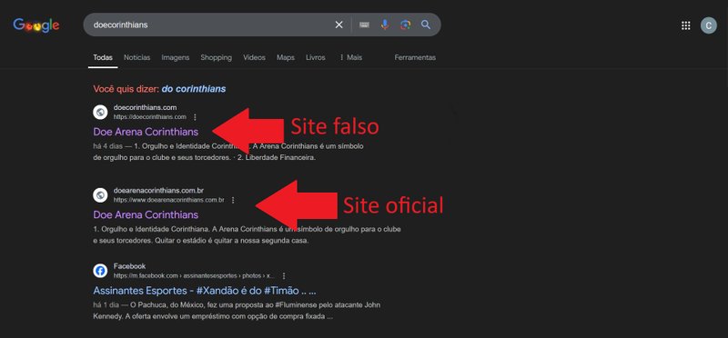 Os resultados da busca no Google colocam a página falsa acima do site verídico. (Imagem: TecMundo/Carlos Palmeira)