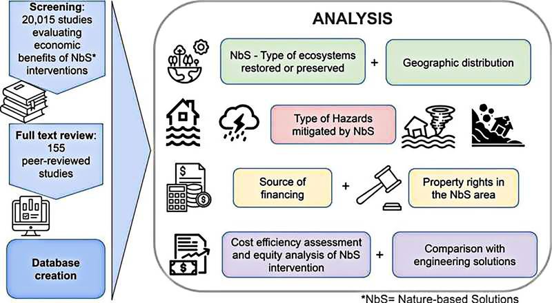 Resumo gráfico do estudo. (Fonte: Marta Vicarelli et al., Science of The Total Environment, 2024/Divulgação)