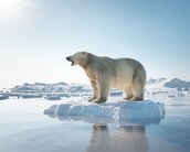 O primeiro dia sem gelo no Oceano Ártico poderá ocorrer em 2027, diz estudo
