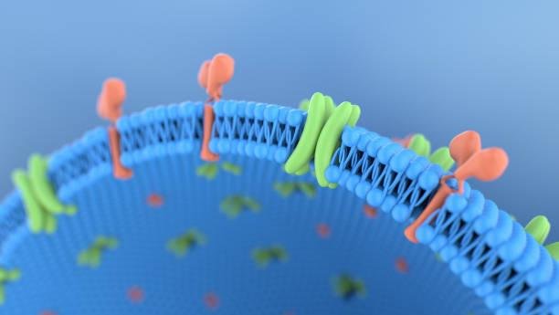 As membranas em desenvolvimento podem captar diferentes gases, contribuindo para purificar ou separar elementos de interesse. Fonte: GettyImages.