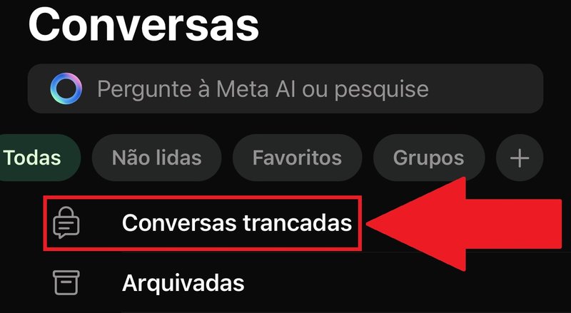 Uma nova opção, com as conversas que foram trancadas, surgirá na tela