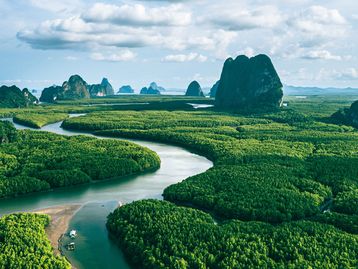 Soluções baseadas na natureza como resposta às mudanças climáticas