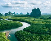 Soluções baseadas na natureza como resposta às mudanças climáticas