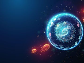 Qual a relação entre as células zumbis e o envelhecimento cerebral?