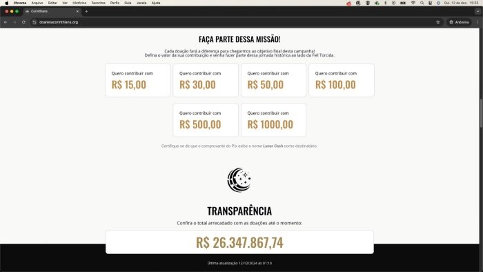 Golpistas também ofereciam várias opções de valores e mostravam a suposta quantia arrecadada. (Imagem: ZenoX/Reprodução)