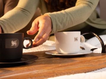 Além do copo Stanley: 7 sugestões diferentes da marca para presentear