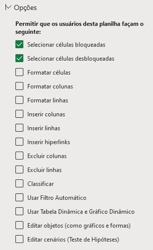 Desça a tela para encontrar as opções de proteção da planilha